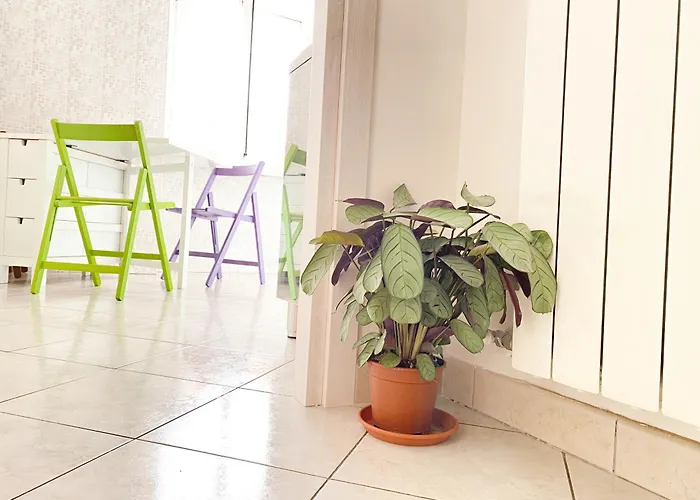Ophele House Apartamento *